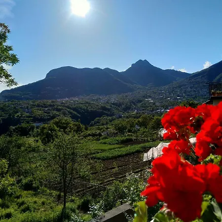 Jerula Alojamento de Acomodação e Pequeno-almoço 3*