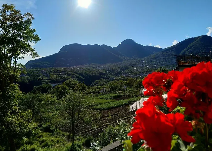 Jerula Отель типа 